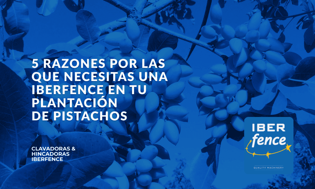 Razones por las que necesitas Iberfence para tu plantación de pistachos