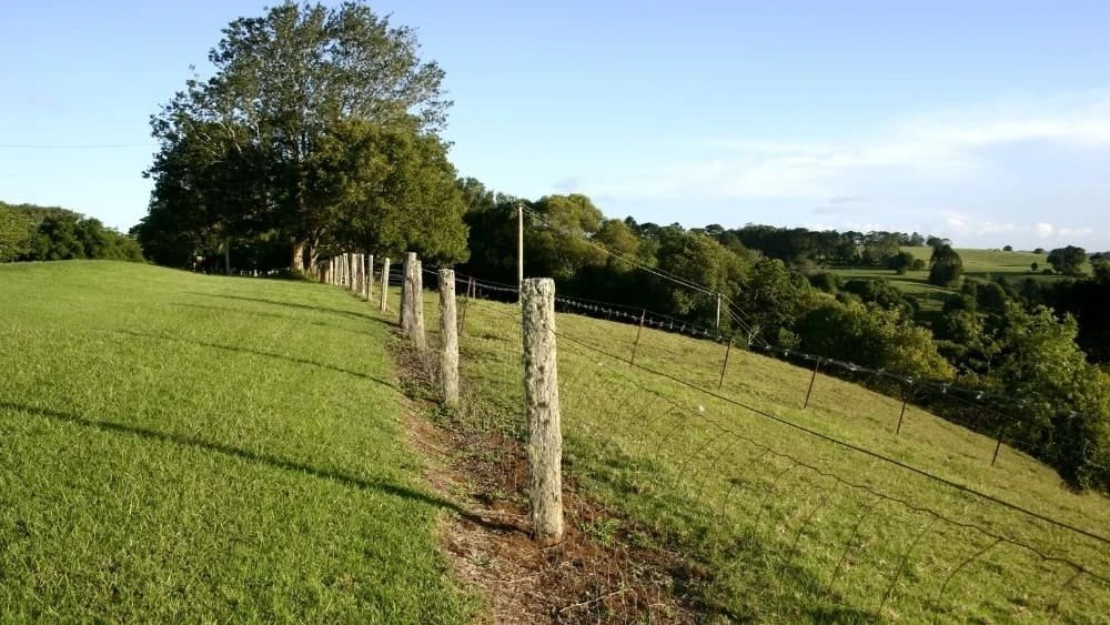Blog Iberfence